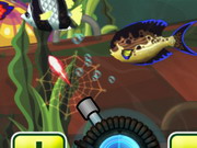 Çılgın Balık Tutma