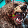wild bear hunting game